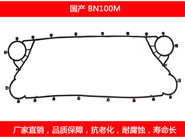 BN100M 国产可拆式板式榴莲APP官方网站地址进入在线密封垫片