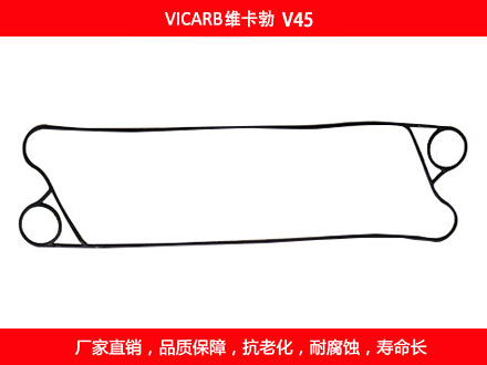 V45 国产板式榴莲APP官方网站地址进入在线密封垫片