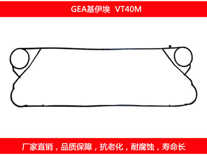 VT40M 国产板式榴莲APP官方网站地址进入在线密封垫片