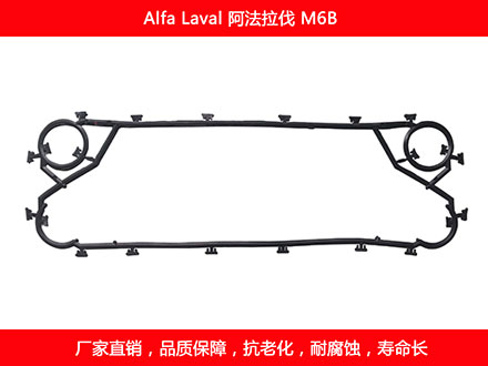 M6B 国产板式榴莲APP官方网站地址进入在线密封垫片